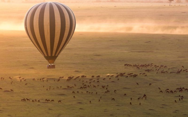 hot air balloon